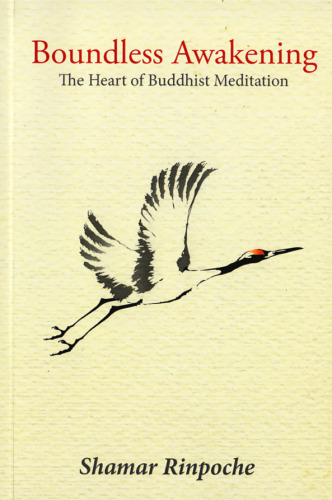 ﻿بیداری بی کران: قلب مراقبه بودایی