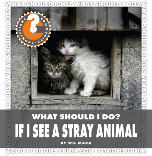 ﻿باید چکار کنم؟ اگر یک حیوان ولگرد ببینم