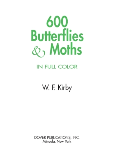 ﻿600 پروانه و پروانه در رنگ کامل