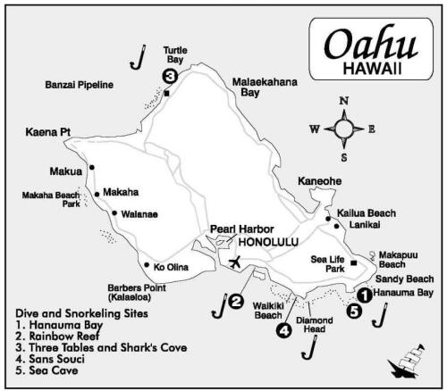 ﻿بهترین غواص هاوایی