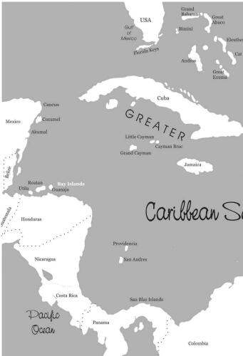 بهترین شیرجه های بلیز