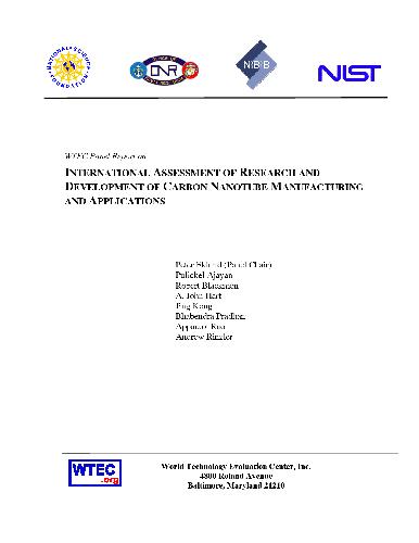 ارزیابی بین المللی تحقیق و توسعه در مورد نانولوله های کربن: ساخت و کاربردها
