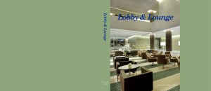 ﻿لابی و سالن