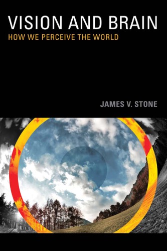 ﻿بینایی و مغز: چگونه ما جهان را درک می کنیم