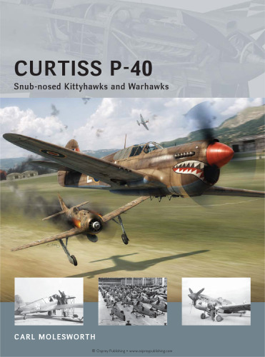 Curtiss P-40 - Kittyhawks و Warhawks اسنوپ بینی