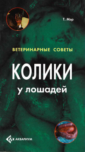 ﻿قولنج در اسب