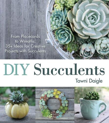 Succulents DIY: از کارتهای تا کارت پستال، 35 ایده برای پروژه های خلاقانه با Succulents