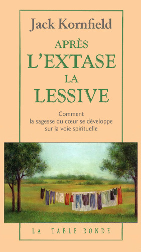 ﻿بعد از خلسه، رختشویی