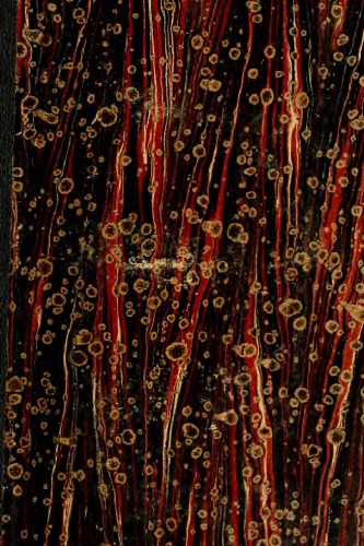 ﻿مطالعات ایتالیایی فیلولوژی کلاسیک