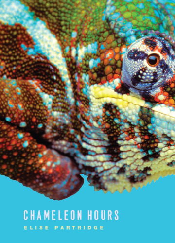 ﻿ساعت آفتاب پرست