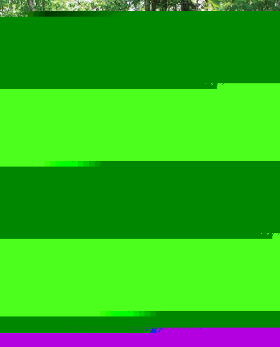 ﻿در حال رشد و بازاریابی جینسنگ ، گلدنسیل و سایر داروهای جنگلی