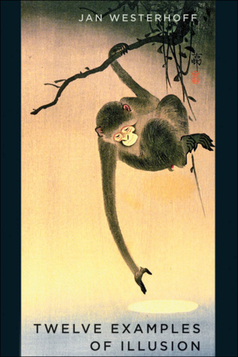 ﻿دوازده نمونه از توهم