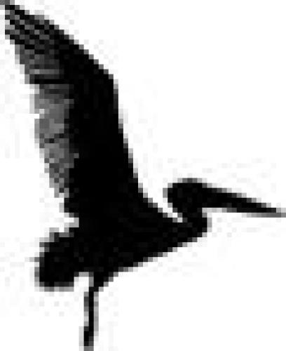 ﻿چهره ناپدید کننده گایا: اخطار نهایی