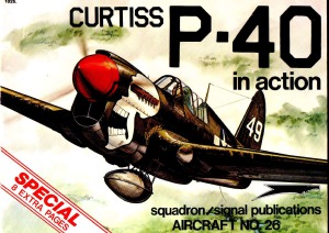 Curtiss P-40 در عمل
