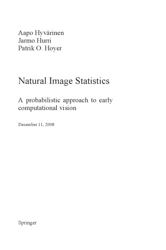 آمار تصویر طبیعی: یک روش احتمالاتی برای دید اولیه محاسباتی