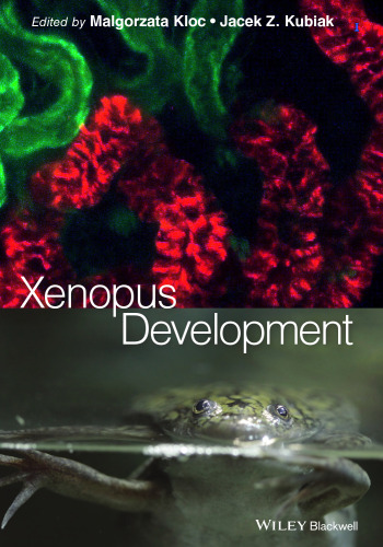 ﻿توسعه Xenopus
