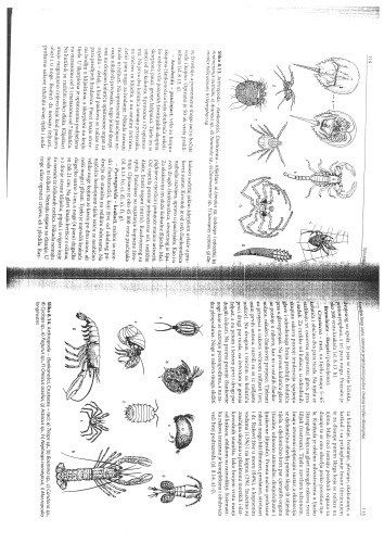 ﻿جانورشناسی عمومی