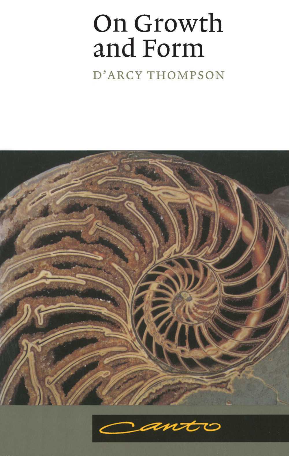 ﻿در مورد رشد و شکل