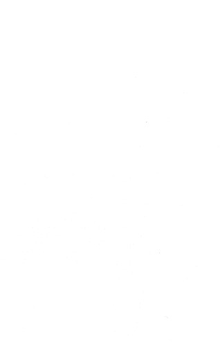 ﻿وقتی کلمه گوشت می شود: زبان و سرشت انسان