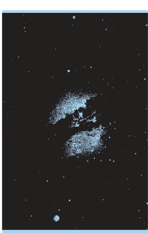 ﻿ایده های دیوانه