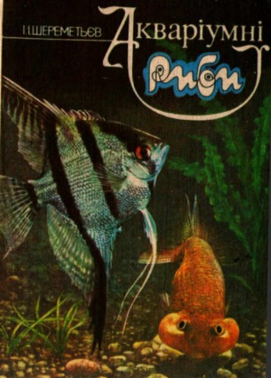 ﻿ماهی آکواریومی