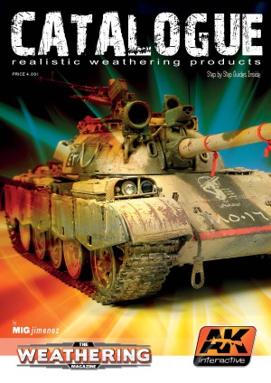 ﻿AK Interactive 2013