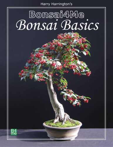 ﻿اصول اولیه Bonsai4me Bonsai