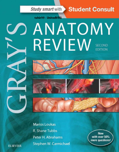 ﻿Gray’s Anatomy Review