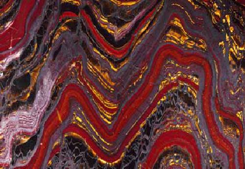 سیاره پویای ما: زمین و زندگی