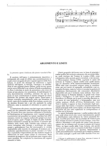 فلور ایتالیا