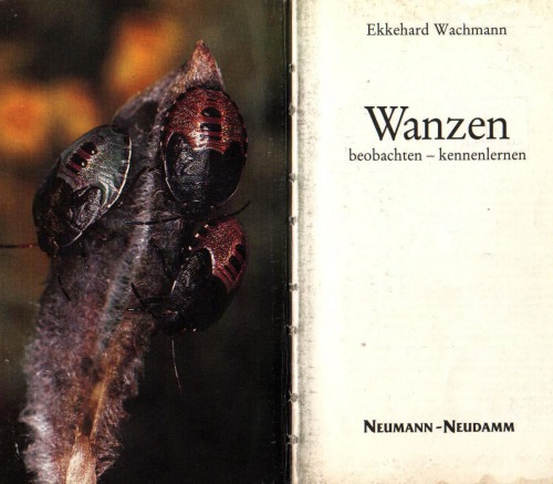 تختخوابها: مشاهده کنید - آشنا شوید