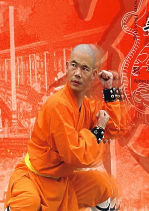 ﻿Cannon Boxing Shaolin Kung Fu