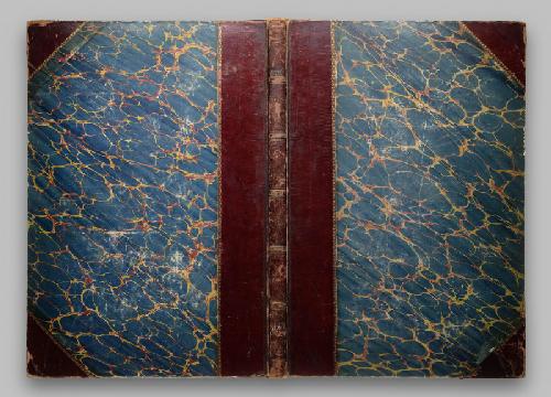 Иллюстрации семейства Psittacidae ، یا پوپوگف