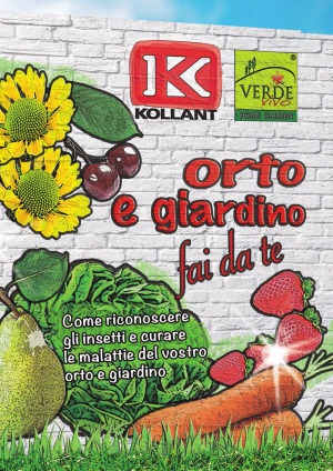 ﻿باغ و باغچه سبزیجات این کار را خودتان انجام دهید