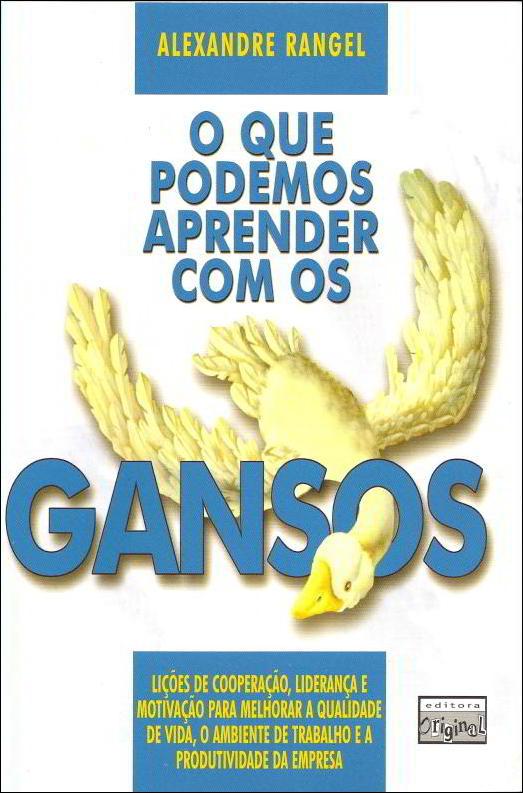 ﻿آنچه می توانیم از غازها بیاموزیم