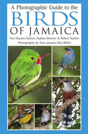راهنمای عکاسی برای پرندگان جامائیکا
