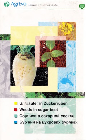 ﻿علف های هرز در چغندر قند