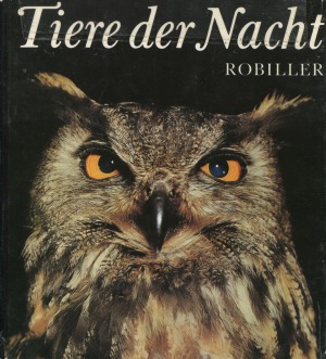 ﻿حیوانات شب