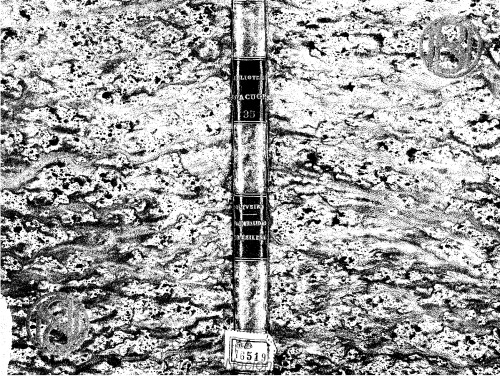 ﻿شکل گیری تاریخی ملیت برزیلی