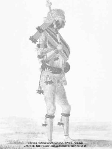 ﻿برزیل: Amazonas–Xingu