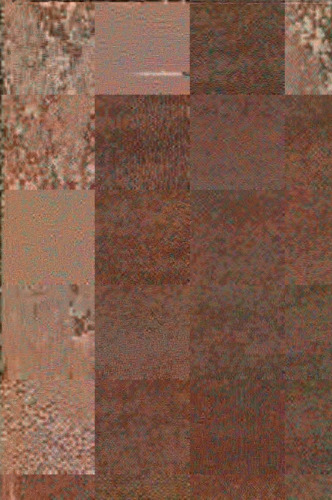 ﻿کاربردهای نظریه گراف