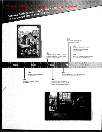 ﻿بزهکاری نوجوانان: نظریه، عمل و قانون