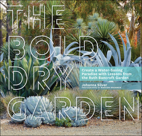 ﻿باغ خشک پررنگ: درس هایی از باغ روث بنکرافت