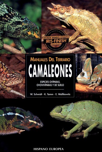 ﻿آفتاب پرست: مراقبت، پرورش