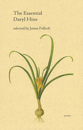 ﻿داریل هاین ضروری