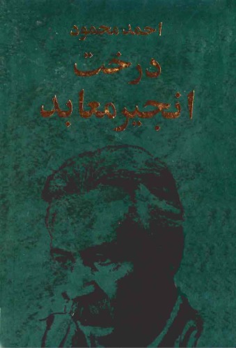 ﻿درخت انجیر معابد - جلد 2