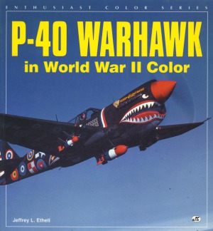 ﻿P-40 Warhawk در رنگ جنگ جهانی دوم