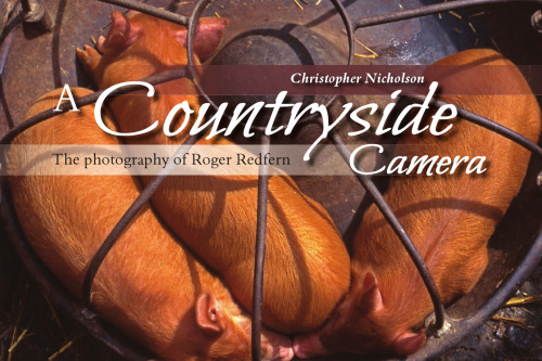 ﻿دوربین حومه شهر: عکاسی از راجر ردفرن