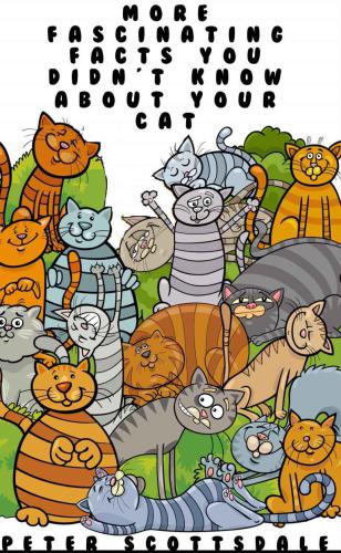 ﻿حقایق جالب تر که درباره گربه خود نمی دانستید