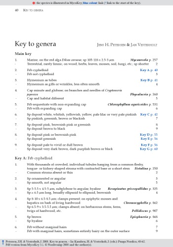 ﻿قارچ نوردیکا